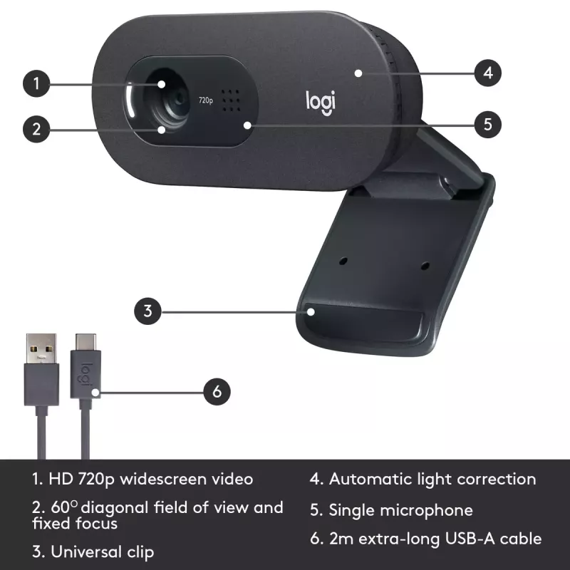 Webcam Logitech C505 HD 1280x720 USB zwart