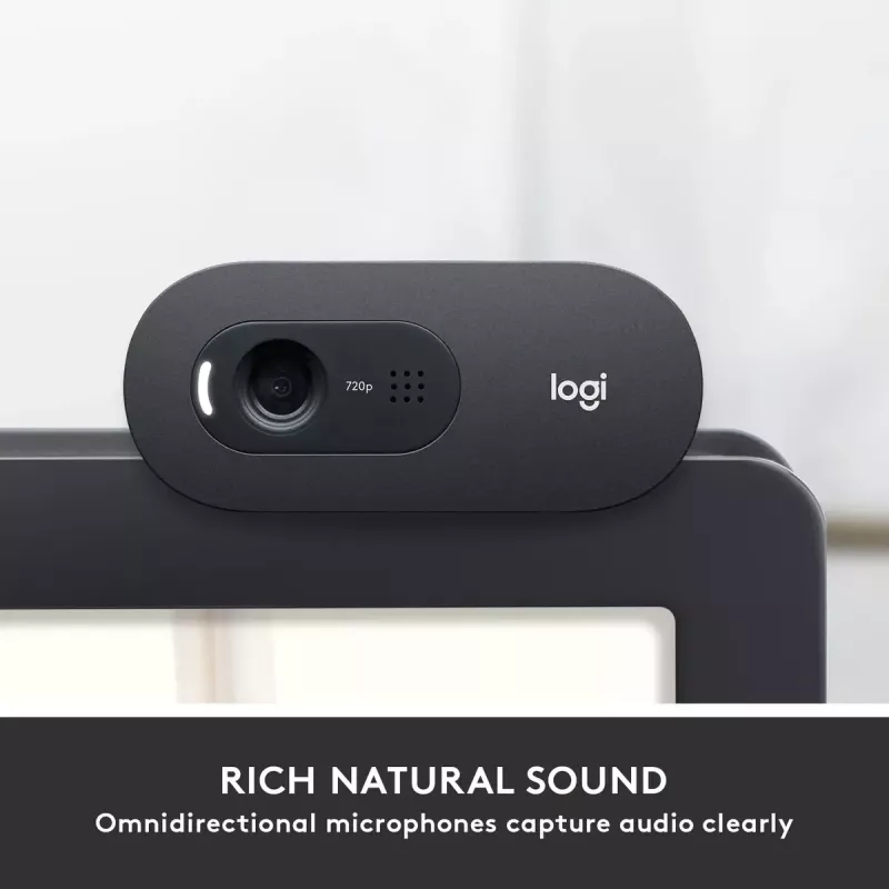 Webcam Logitech C505 HD 1280x720 USB zwart
