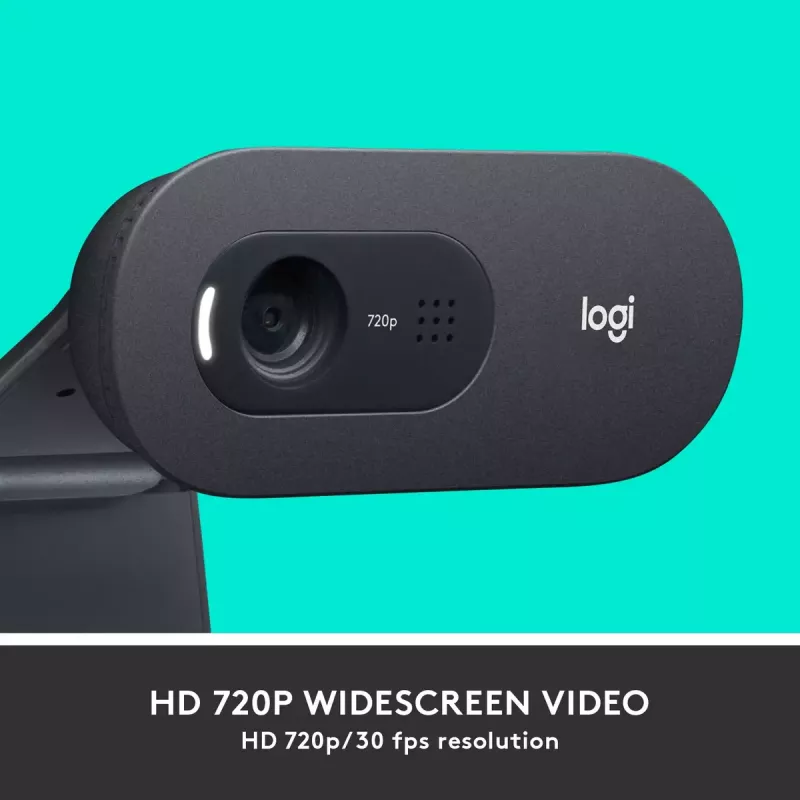 Webcam Logitech C505 HD 1280x720 USB zwart