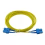 BlueOptics CAB-SMF-SC-SC-30 InfiniBand glasvezelkabel 30 m SC SC