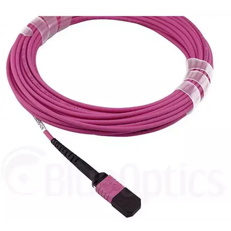 Glasvezelkabel MPO BlueOptics CBL-MPO12-OM4-1M 1m OM4