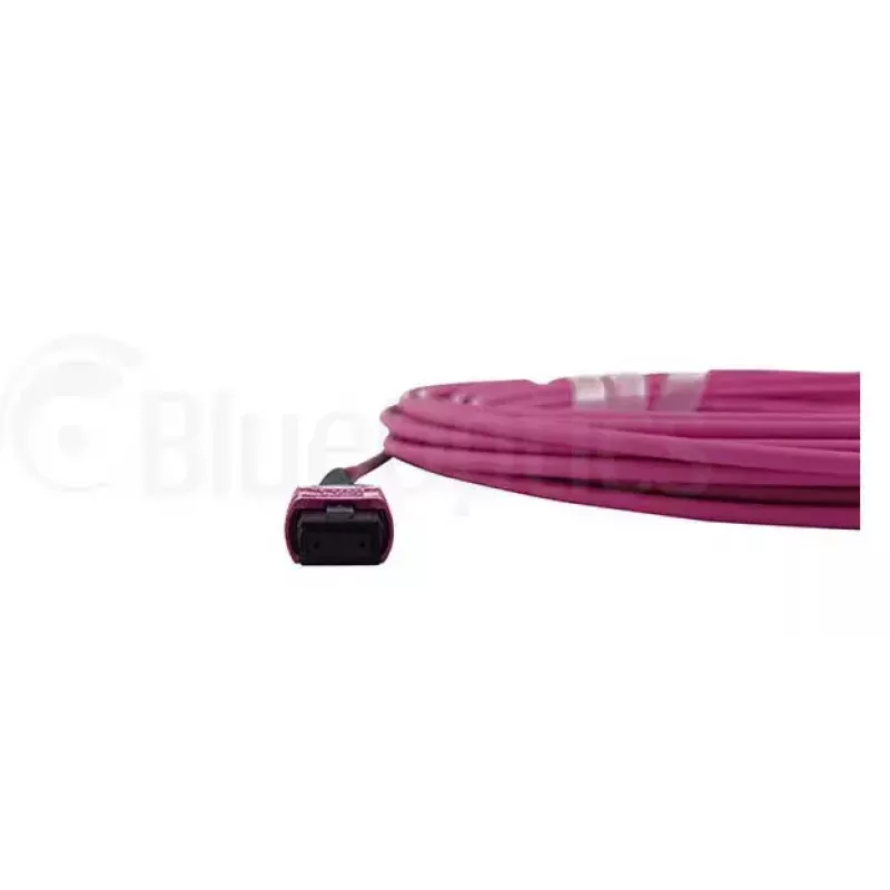 Glasvezelkabel MPO BlueOptics CBL-MPO12-OM4-1M 1m OM4