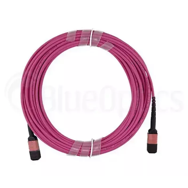 Glasvezelkabel MPO BlueOptics CBL-MPO12-OM4-1M 1m OM4