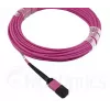 Glasvezelkabel MPO BlueOptics CBL-MPO12-OM4-20M-BO 20m OM4