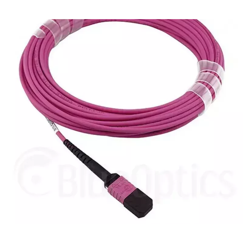BlueOptics CBL-MPO12-OM4-2M InfiniBand glasvezelkabel MPO 2m OM4