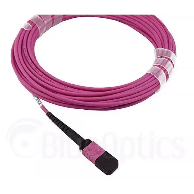 Glasvezelkabel MPO BlueOptics CBL-MPO12-OM4-5M-BO 5 m OM4 50 µm