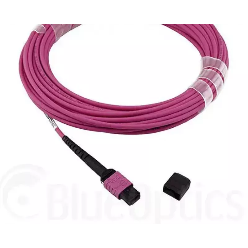 Glasvezelkabel MPO BlueOptics CBL-MPO12-OM4-5M-BO 5 m OM4 50 µm