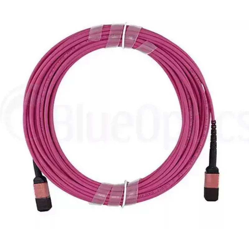 Glasvezelkabel MPO BlueOptics CBL-MPO12-OM4-5M-BO 5 m OM4 50 µm