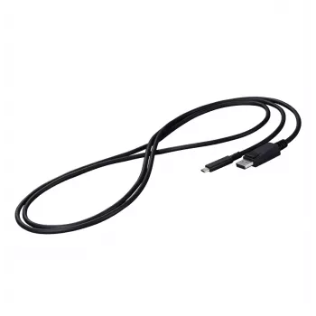 EIZO CP200-BK DisplayPort-kabel 2 m USB Type-C zwart