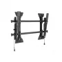 Chief Medium FUSION MTM1U kantelbare tv-wandsteun, VESA 100x100, zwart