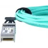 BlueOptics SFP-10G-AOC1M-BO InfiniBand-/glasvezelkabel 1 m SFP+