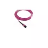 Glasvezelkabel BlueOptics SFP5252FU50MKB MPO OM4 50 m violet