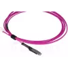 Glasvezelkabel BlueOptics SFP9231FU5MK MDC LC OM4 5 m magenta