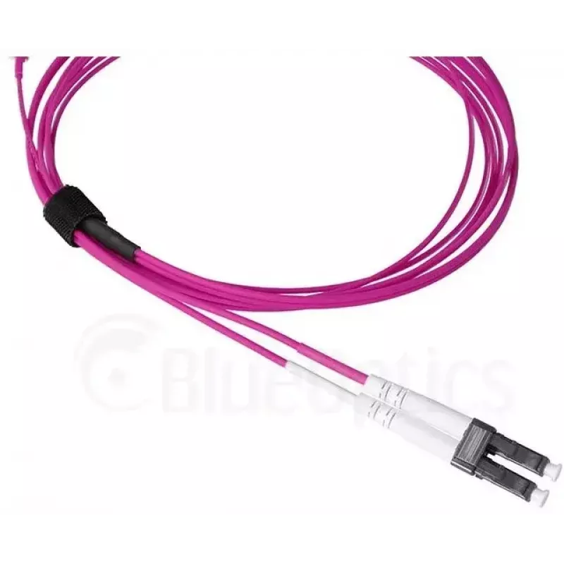 Glasvezelkabel BlueOptics SFP9331FU2MK SN LC OM4 2 m violet