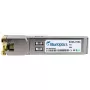 BlueOptics TN-SFP-10G-T-BO netwerk-transceivermodule koper 10000 Mbit/s SFP+