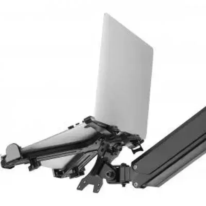 Notebookhouder InLine 23162B tot 17 inch VESA 75/100 zwart