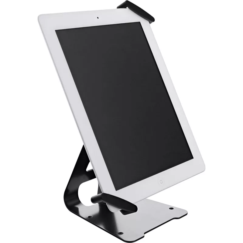 InLine universele tablet-beveiligingsstandaard, voor 10 inch-13 inch, met sleutelslotkabel