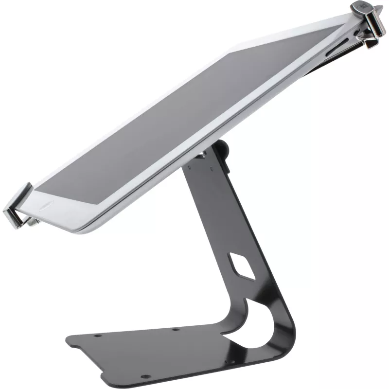 InLine universele tablet-beveiligingsstandaard, voor 10 inch-13 inch, met sleutelslotkabel