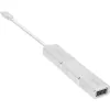 InLine USB-displayconverterset 6-in-1, 4K/60Hz zilver
