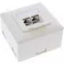 InLine Cat.6A wandcontactdoos opbouw of inbouw 2x RJ45-bus 76842S