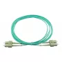BlueOptics SFP3232EU1MK InfiniBand-glasvezelkabel 1 m SC groen