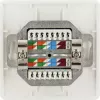 Netwerkdoos RJ-45 Schwaiger TDU2628532