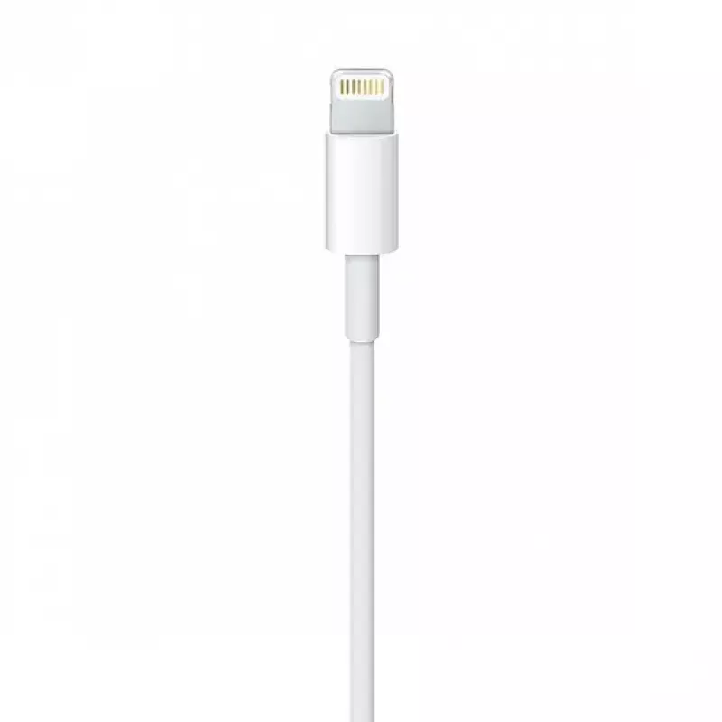 Kabel Apple MQUE2ZM 1m wit