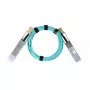BlueOptics QSFP-AOC-50M-SW-BO 50 m QSFP actieve optische kabel, 40GBASE-SR4