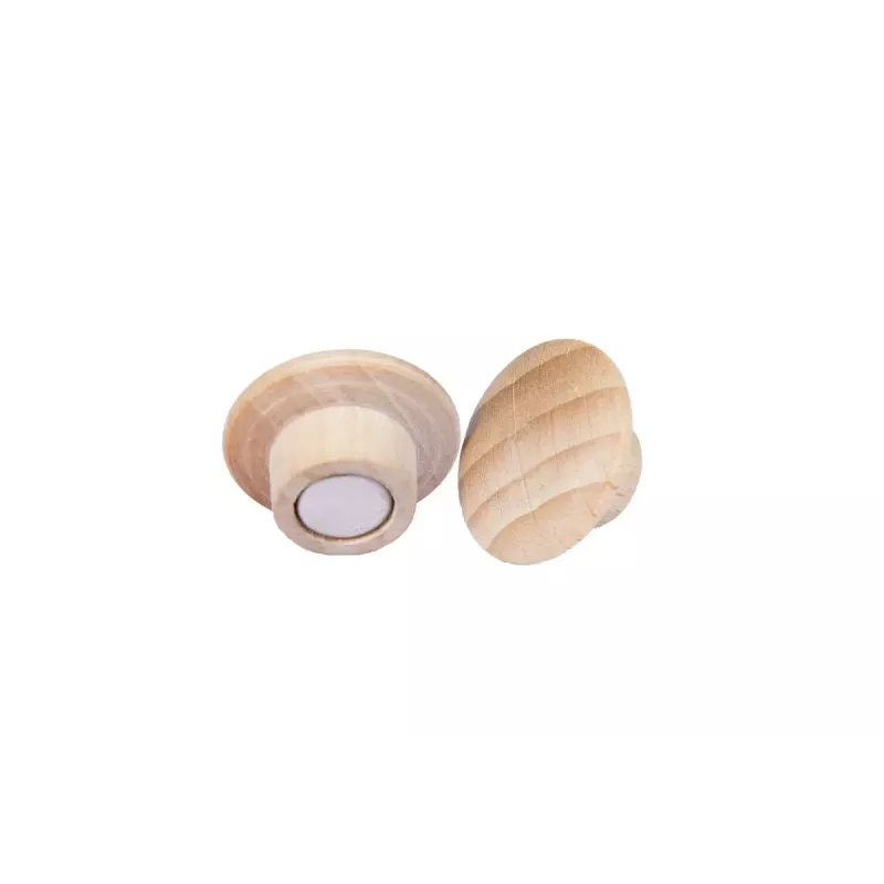 Houtmagneten Legamaster 25mm 5 stuks