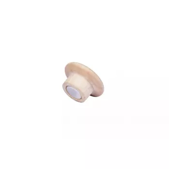 Houtmagneten Legamaster 25mm 5 stuks