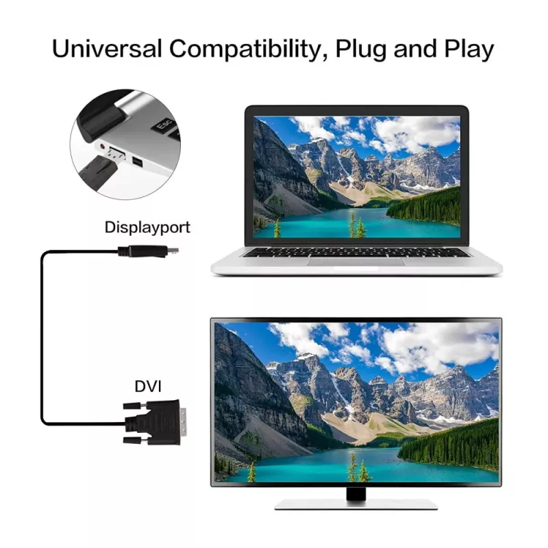 Techly monitor DisplayPort-naar-DVI-kabel 2 m ICOC DSP-C-020