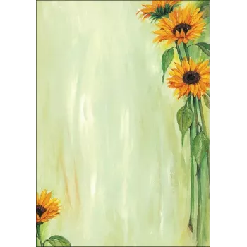 Kunstpapier vellen Sigel DP694 25 blad