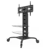 Techly ICA-TR8 signagedisplay-standaard 177,8 cm (70 inch) zwart