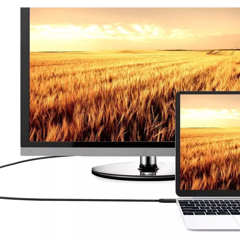 Techly ICOC HDMI-4-010NE HDMI-kabel 1 m HDMI Type-A (standaard) zwart
