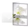 Wenskaart/condoleancekaart Sigel DS006