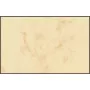 Visitekaartje Sigel DP744 laser/inkjet beige 100 stuks