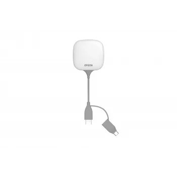 Epson ELPWT01 zendermodule grijs, wit 1 stk.