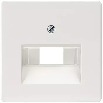 Siemens 5TG2545 wandplaat/schakelaarafdekking