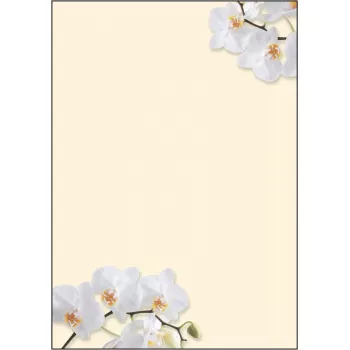 Kunstdrukpapier Sigel DP904 50 vel
