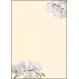 Kunstdrukpapier Sigel DP904 50 vel