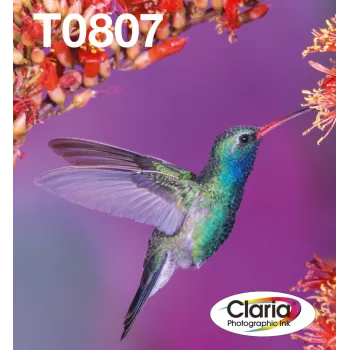 Inktpatroon-multipack Epson Hummingbird T0807 — 6 kleuren (zwart, cyaan, lichtcyaan, lichtmagenta, magenta, geel)