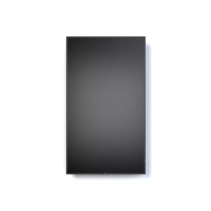 NEC MultiSync P495 digital-signagedisplay 124,5 cm (49 inch) LCD 700 cd/m² 4K Ultra HD zwart 24/7