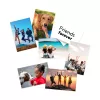 HP mat fotopapier 180 g/m² 10 x 15 cm (101 x 152 mm) 25 vel