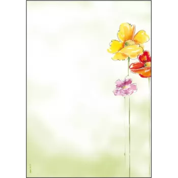 Kunstpapier Sigel DP123 50 blad