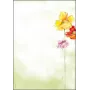 Kunstpapier Sigel DP123 50 blad