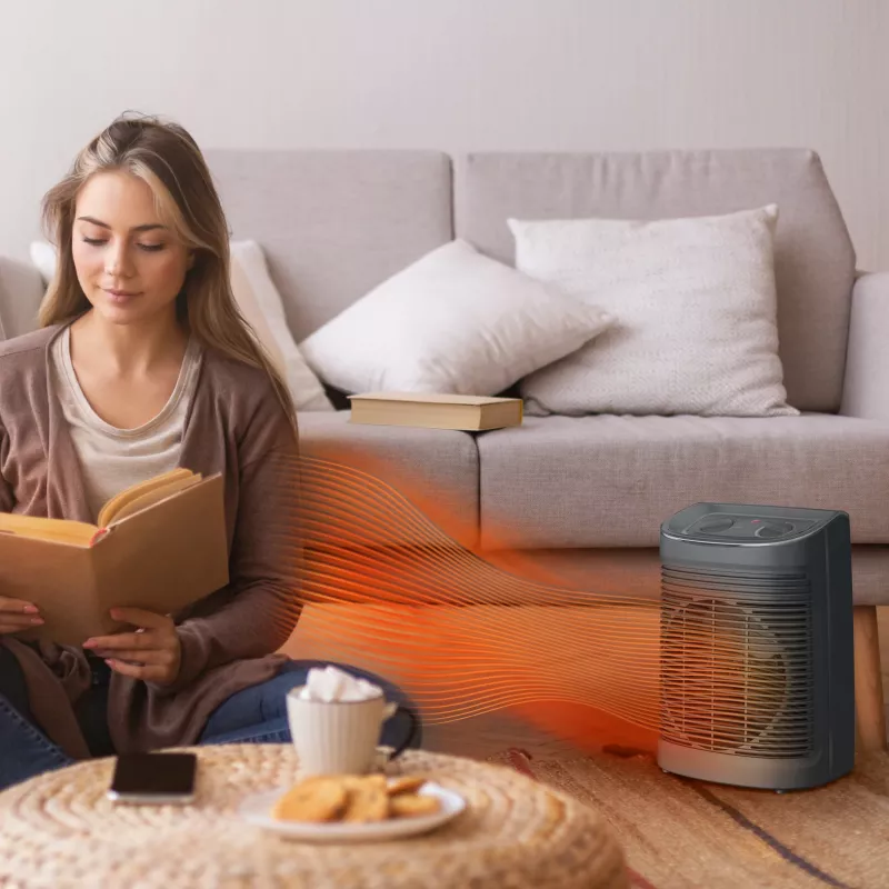 Rowenta Instant Comfort SO6511 binnen grijs 2200 W ventilator-elektrische verwarming