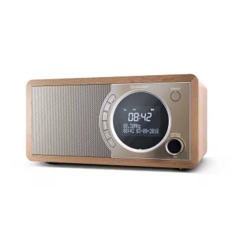Sharp DR-450 Personal Digital Bruin, roestvrij staal