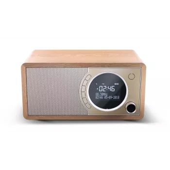 Sharp DR-450 Personal Digital Bruin, roestvrij staal