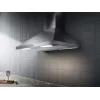 Electrolux LFC316X Wandmontage roestvrij staal 420 m³/h