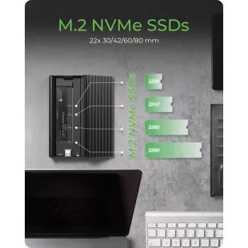 ICY BOX IB-1917M-C32a SSD-behuizing zwart M.2